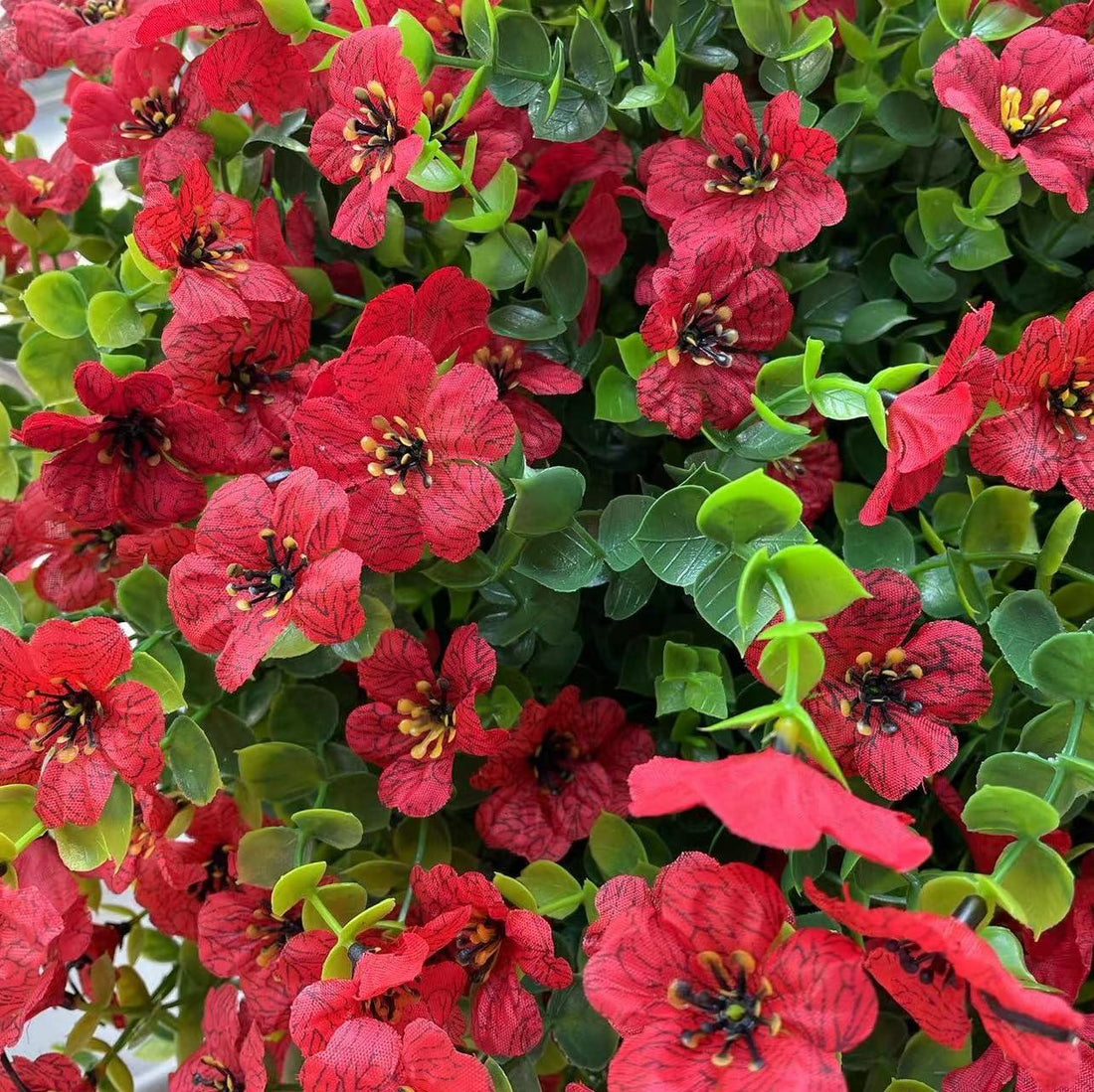 14" Silk Daisy with Eucalyptus 12 Bundles- Red - HyeFlora