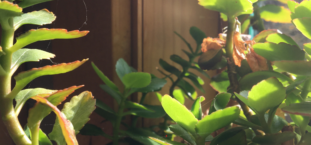 Artificial Hanging Baskets for outdoor decor