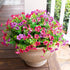 Faux Silk Daisy Flowers With Eucalyptus Stem - 14" inches- Mix Color - HyeFlora