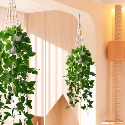 2Pac Fake Ivy Vine With Hanging Pot &amp; Macrame Hanger - HyeFlora
