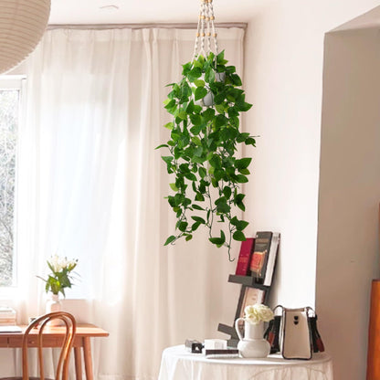 2Pac Fake Ivy Vine With Hanging Pot &amp; Macrame Hanger - HyeFlora