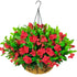17" Faux Silk Azalea with Hanging Basket- Red - HyeFlora